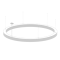 AR1005 view 2