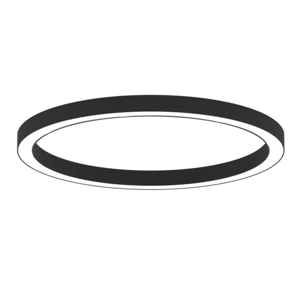 AR1006