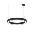 AR1006 view 2