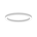AR1007 view 2