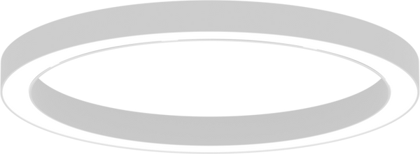 AR1125 Suspended Ring Luminaire, Ø820 mm