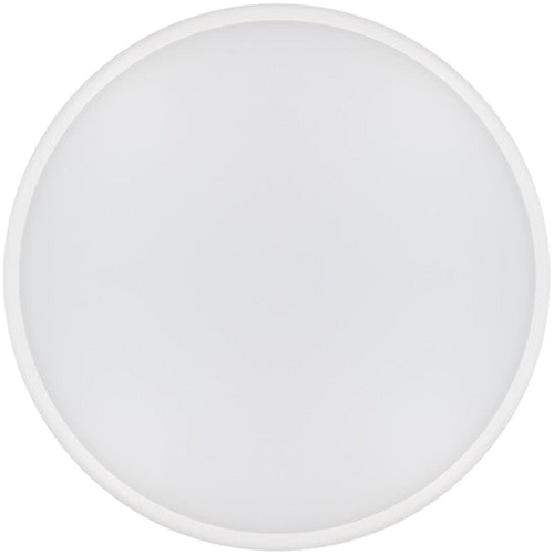 BH1016 Slimline Ceiling and Wall Light, IP54 IK10, Ø250 to 350 mm