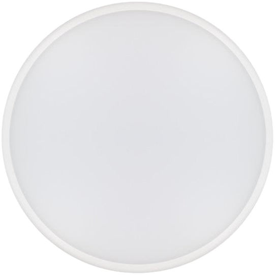 BH1016 Slimline Ceiling and Wall Light, IP54 IK10, Ø250 to 350 mm