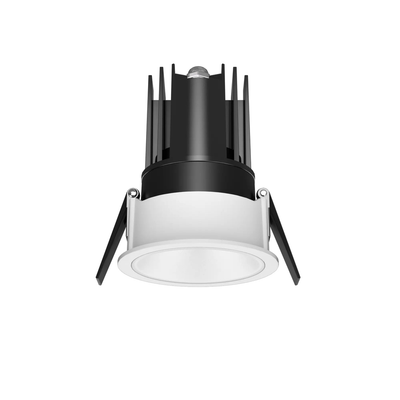 DL1001 Downlight Front View
