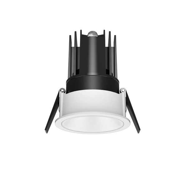 DL1001 Downlight Front View