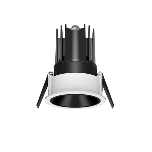 DL1001 Downlight Angle View