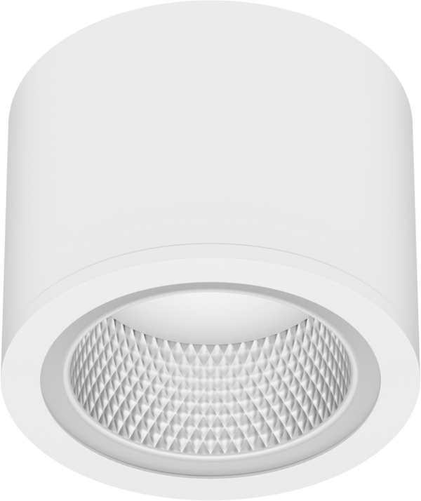 DL1115 Surface Cylinder Downlight with Opal Diffuser, Ø228 mm