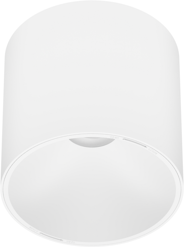DL1554 Surface Cylinder Reflector Downlight, Ø149 mm