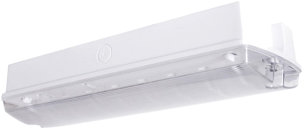 EM1137 Mains and Emergency Bulkhead, IP65