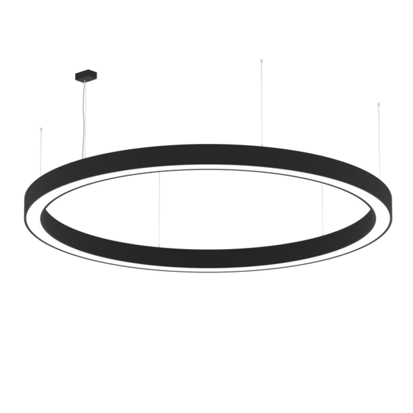 AR1002 Architectural Ring