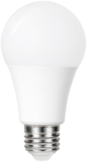 LP1029 GLS Frosted LED Lamp, E27