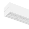 LS1007 view 7