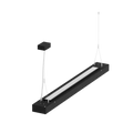 LS1009 view 1