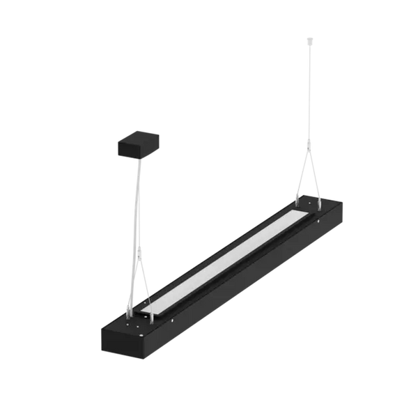 EMPRICS LS1009 linear system