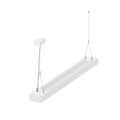 LS1009 view 2