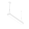 LS1009 view 4