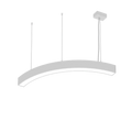 LS1010 view 2