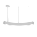 LS1010 view 3