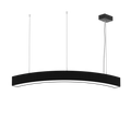 LS1010 view 4