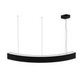 LS1011 view 2
