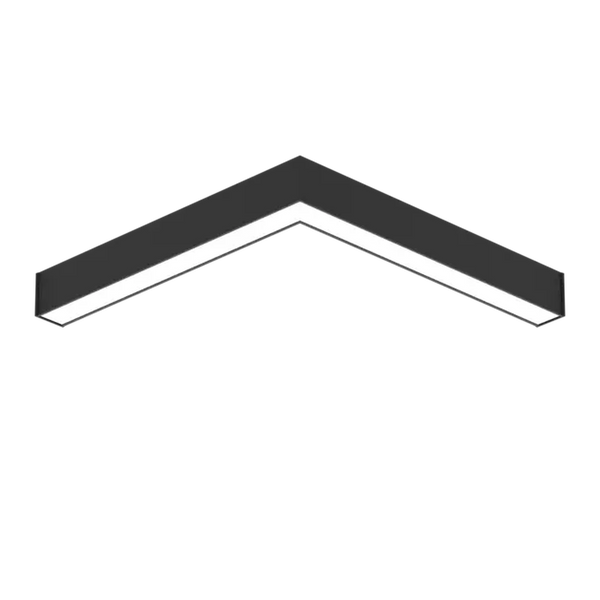 EMPRICS LS1012 linear system