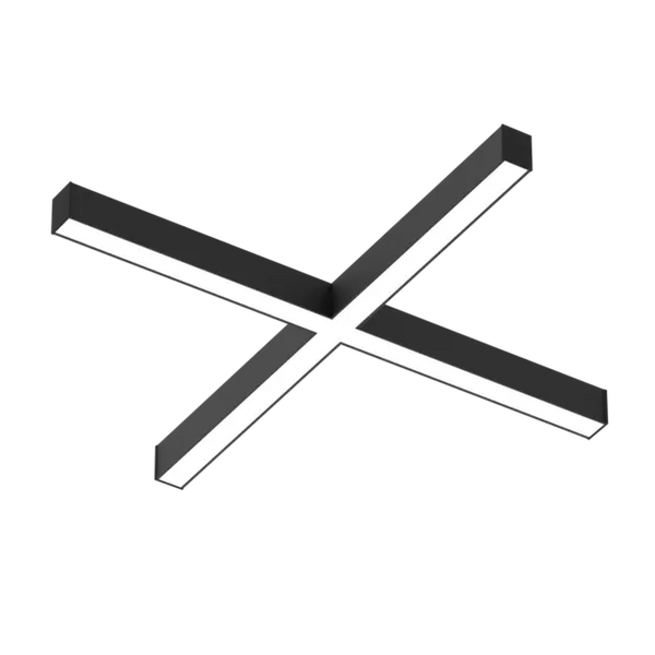 EMPRICS LS1015 linear system