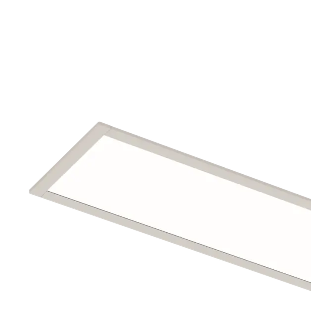LS1018 linear system - view 2