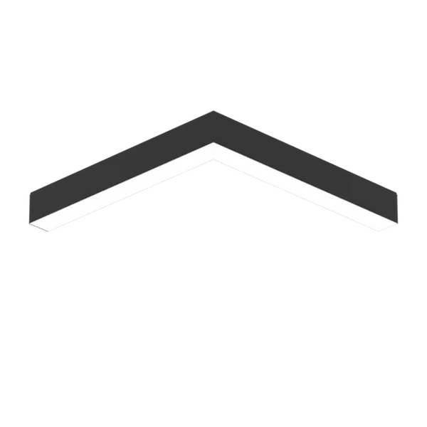 EMPRICS LS1019 linear system