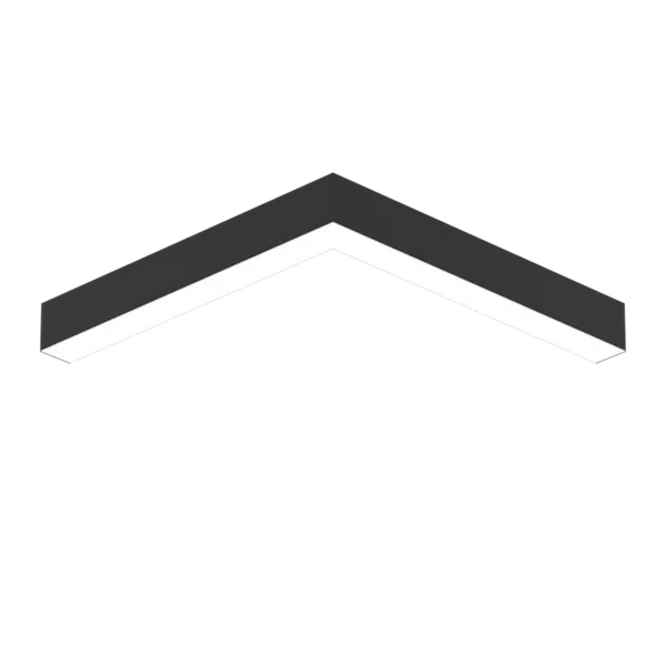 EMPRICS LS1023 linear system