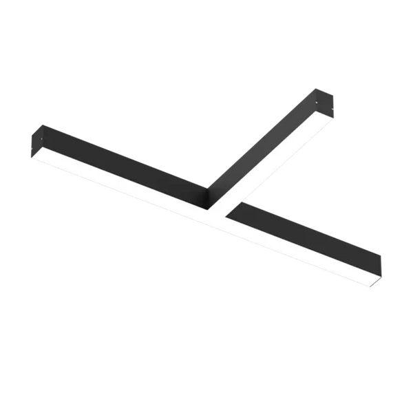 EMPRICS LS1024 linear system