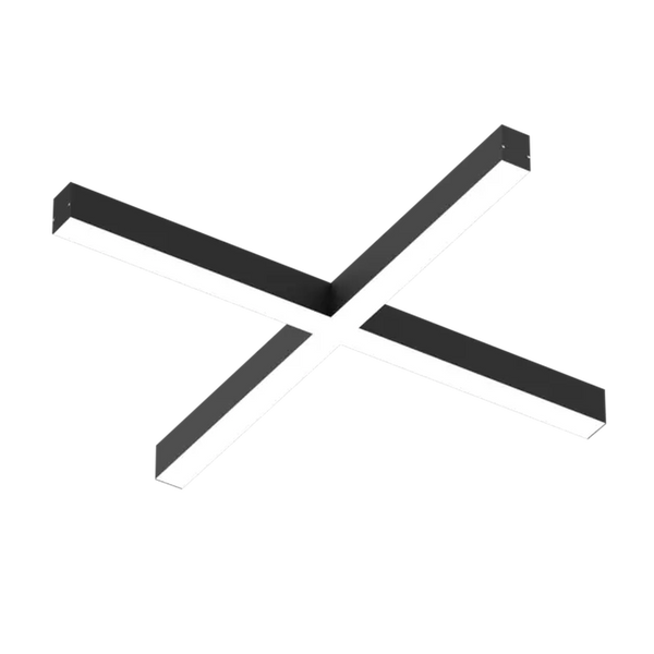 EMPRICS LS1025 linear system
