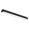 LS1029 view 1