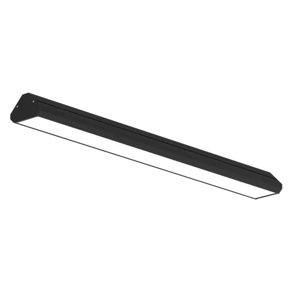 EMPRICS LS1029 linear system
