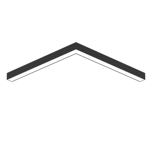 EMPRICS LS1036 linear system