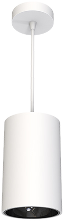 PL1001