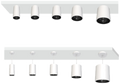 PL1001 view 2