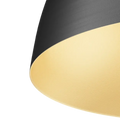 PL1006 view 2