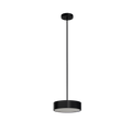 PL1099