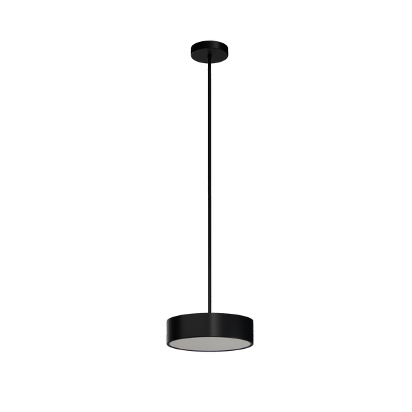 PL1099