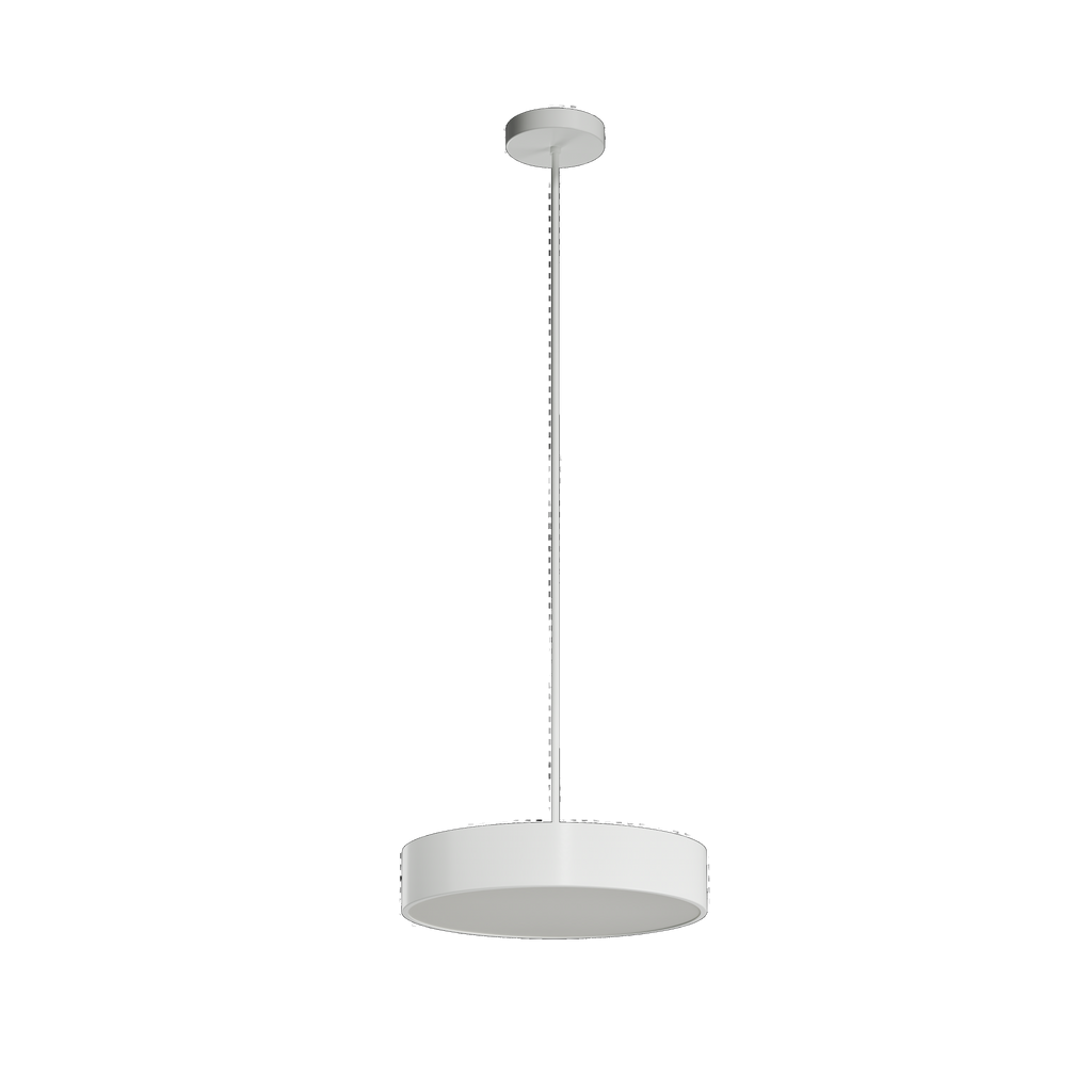 PL1101
