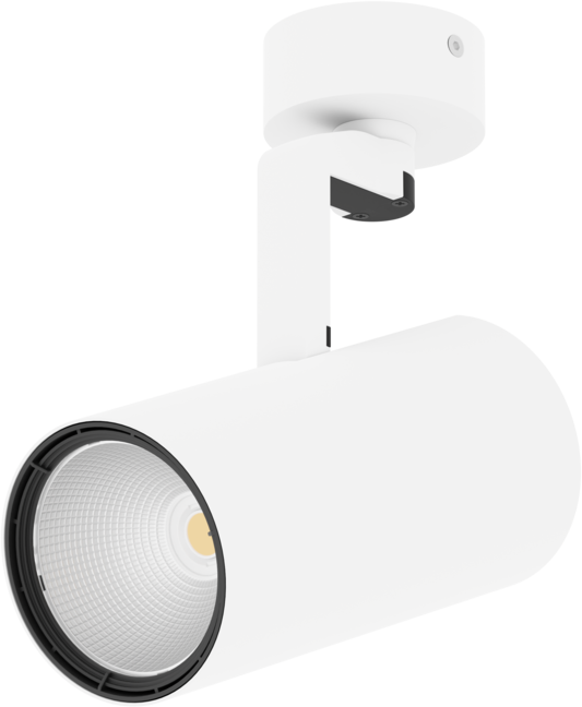 SD1032 Surface Cylinder Downlight, Ø100 × 200 mm